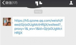 短视频链接,【短视频精华】一窥【链接标题】背后的精彩瞬间